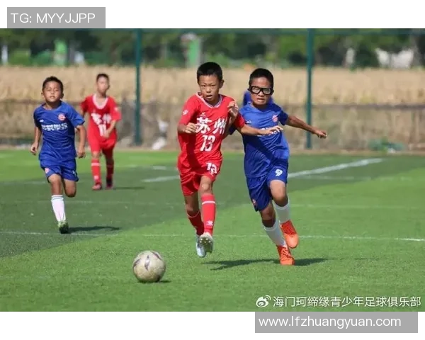 拼搏精神的象征足球明星们如何在赛场上全力以赴展现自我