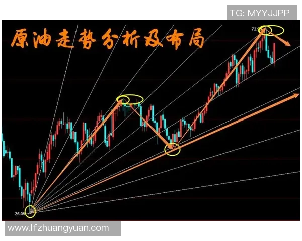 探秘北京羽毛球队的区域防守战术与技术解析