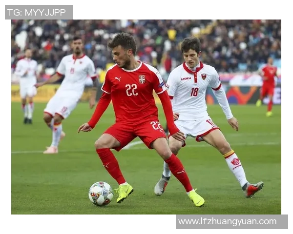 斯洛文尼亚足球明星盘点及其在国际赛场上的表现分析