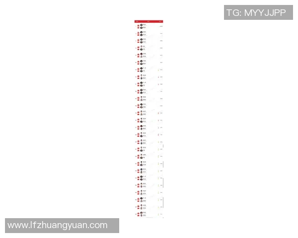 武汉羽毛球队在羽毛球状态排行榜中荣登第九名展现出强劲实力与潜力